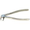 Extraction Forceps – # 33, English Pattern - Extracting Forceps – # 33, English Pattern