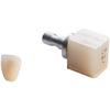 CEREC® Blocs C In – Size M, 4/Pkg - Shade B2