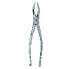 Extracting Forceps – # 32, Maxillary