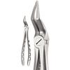 X-Trac Forceps, Upper Root Tip 