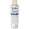 KaVo Spray® 2114 Canada – 500 ml Can, 1/Pkg