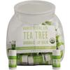 Organic Lip Balm Fishbowl – Tea Tree Mint, 100/Pkg