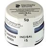 Dentsply Sirona Universal Overglaze and Stains, 5 g - Stain, i1