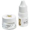 GC Initial™ LRF Glaze and Paste
