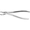 Extraction Forceps – 67A, European Style, Serrated 