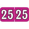 2025 Yearly Aging Labels - Jewel Tone/Jewel Tone II - 500/Roll