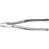 Atlas Extraction Forceps – # 1 Apical, Upper Anterior 