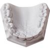 Orthodontic Plaster – Super White, 33 lb